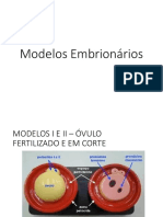 Modelos Embrionários