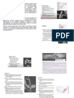 Antes de Empezar Con La Evaluación de Miembros Superiores Debemnos Tener Conocimiento de La Antomia