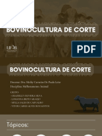 bovinocultura de corte 
