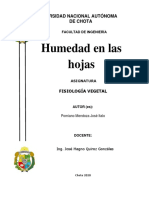 Informe de Humedad Pomiano Mendoza José Italo