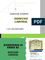 Derecho Laboral: principios generales del Derecho Laboral mexicano