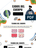 Tejidos Del Cuerpo