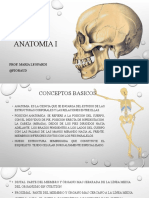 Anatomía Uno