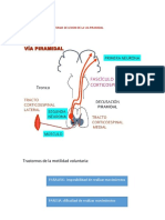 Paresia - Parálisis - Síntomas de La Vía Piramidal