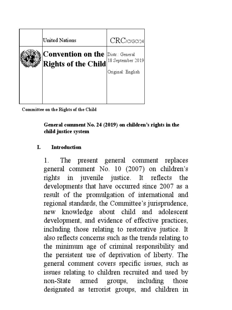 General Comment No24 | PDF | Children's Rights | Remand (Detention)