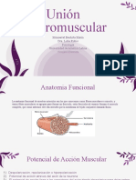 Unión Neuromuscular