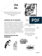 Ecologia Forestal