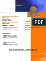 CV Michael Rodrigo
