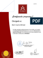 Certificación Progresiva 2