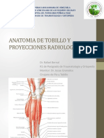 Anatomia de Tobillo y Proyecciones Radiologicas Rafael Bernal