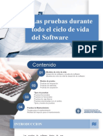 Las Pruebas en Ciclo de Vida Del Software