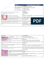 Histologia Del Aparato Femenino y Masculino