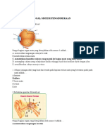 SOAL SISTEM PENGINDERAAN - Kel 12 Biomed