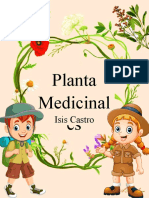 Plantas medicinales Isis Castro