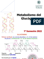 SesiÃ N 17-Metabolismo Del Glucogeno 1s2022