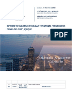 Informe Ingreso Vehicular y Peatonal