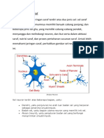 Struktur Jaringan Saraf