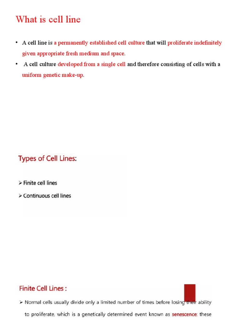 Commonly Used Cell Lines in Research | PDF | Cell Culture | Hek 293 Cells