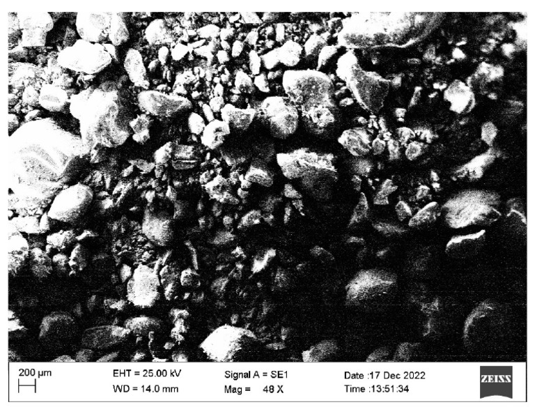 2121 | PDF