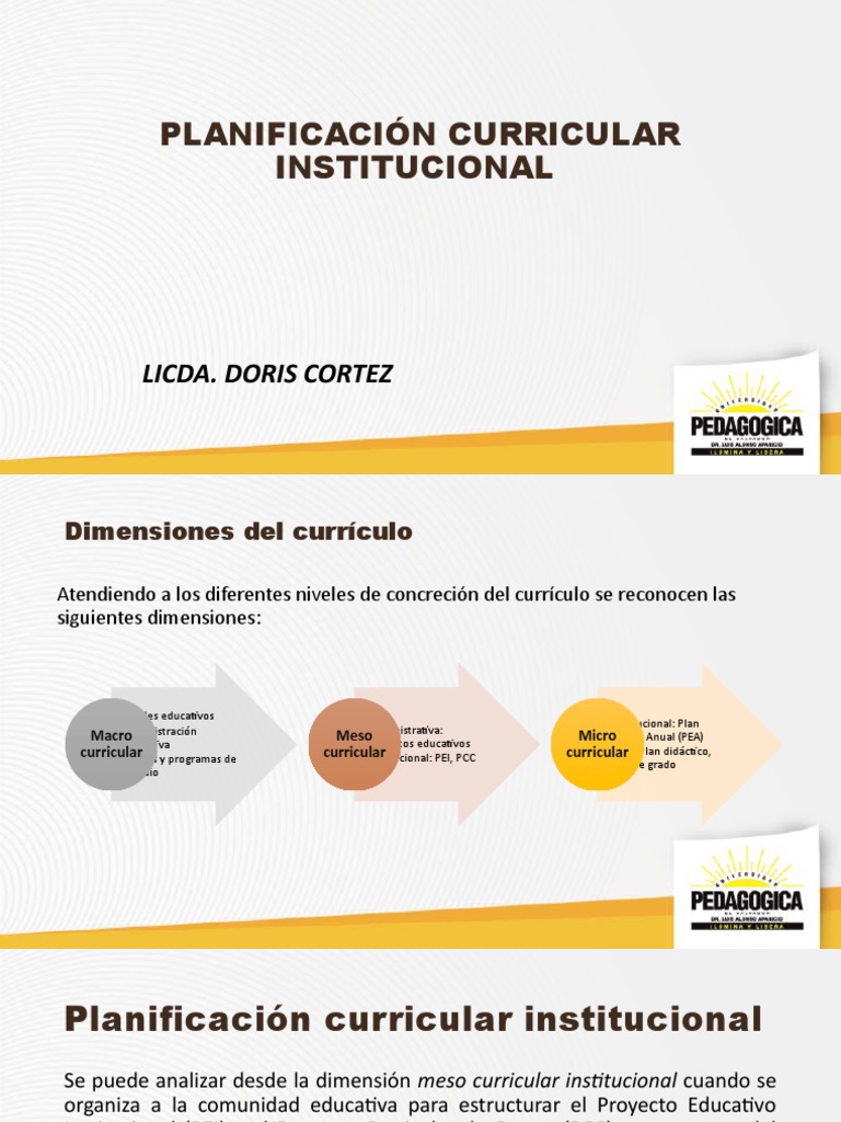 Planificación Curricular Institucional | PDF | Plan de estudios ...