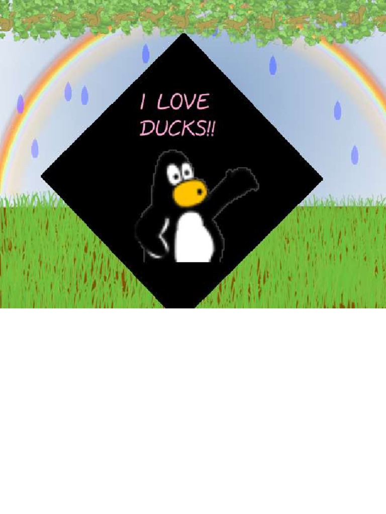 Duck | PDF