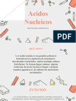 Acidos Nucleicos