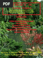 E-Herald of The Coming Kingdom: in This Issue