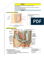 PDF Rangkuman Hernia Compress