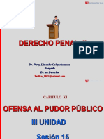 15 Ofensas Al Pudor Publico