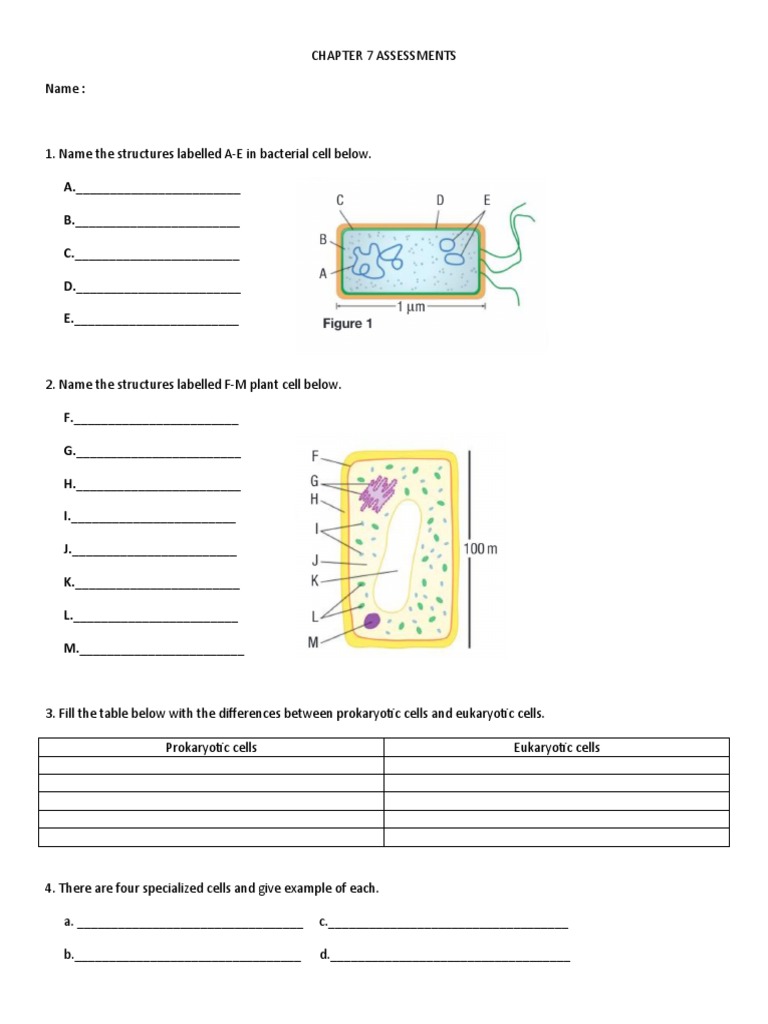 Chapter 7 Assessments PDF