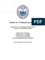 Final Report of The Trainning