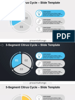 2 1221 3segment Citrus Cycle PGo 16 - 9