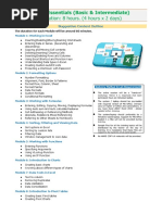 Excel Essentials (Basic & Intermediate)