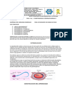 Guia No. 3 Proceso de Gametogenesis y Meiosis Octavos Gregoria