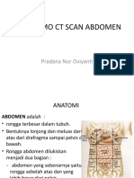 Anatomi CT Scan Abdomen