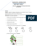 Examen de CC - Nn.