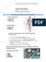 Sistema músculo-esqueletico