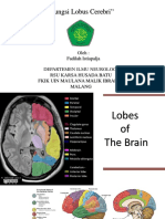 Presentasi Fungsi Lobus Cerebri - Fadilah Istiapalja - Dokter Muda Kelompok 17 - Stase Neuro