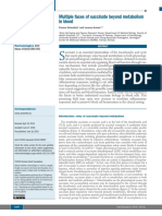 Multiple Faces of Succinate Beyond Metabolism in Blood: Review Article