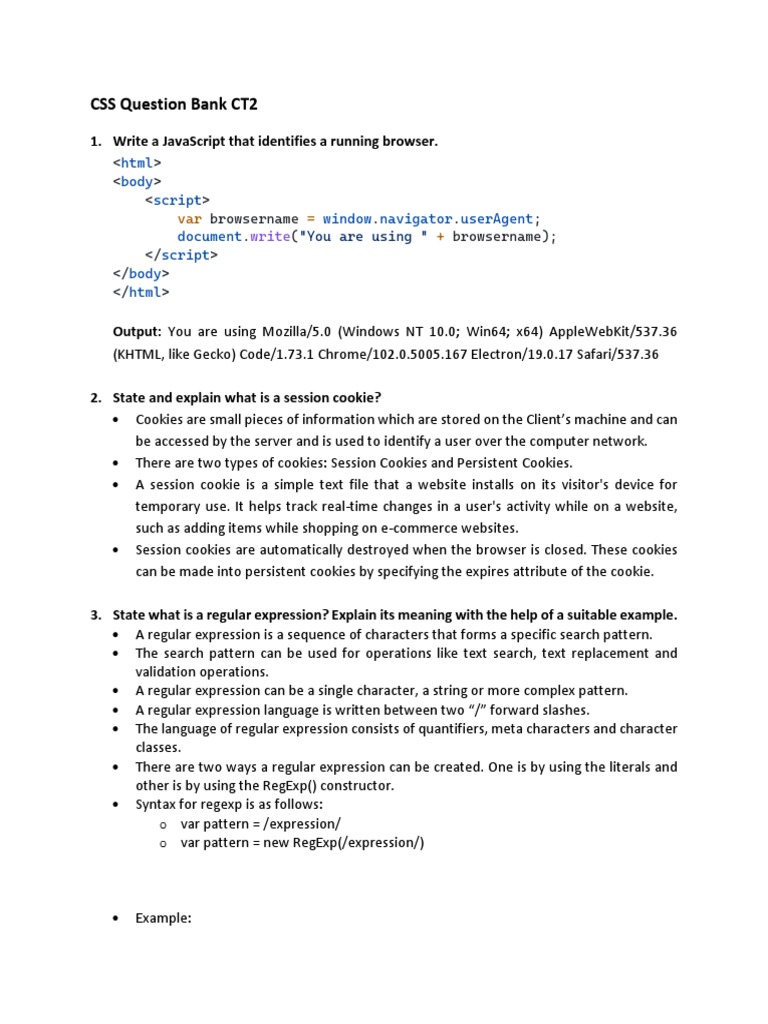 CSS CT2 Combined | PDF | Http Cookie | World Wide Web