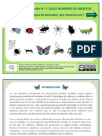 Doce nombres de insectos en braille