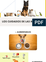 09.05 PPT de Los Cuidados y Amor A Las Mascotas