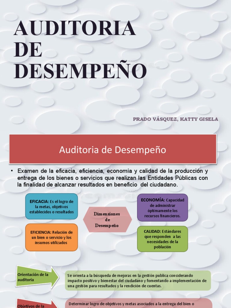 Auditoría de Desempeño en Gestión Pública | PDF | Auditoría ...