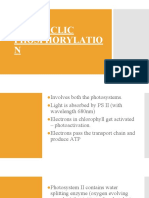 Non Cyclic Phosphorylation and Light Independent Stage