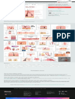 Kelenjar Keringat Apokrin Ekrin Dan Kelenjar Sebaceous Anatomi Kulit Yang Sehat Ilustrasi Stok - Unduh Gambar Sekarang - Istock