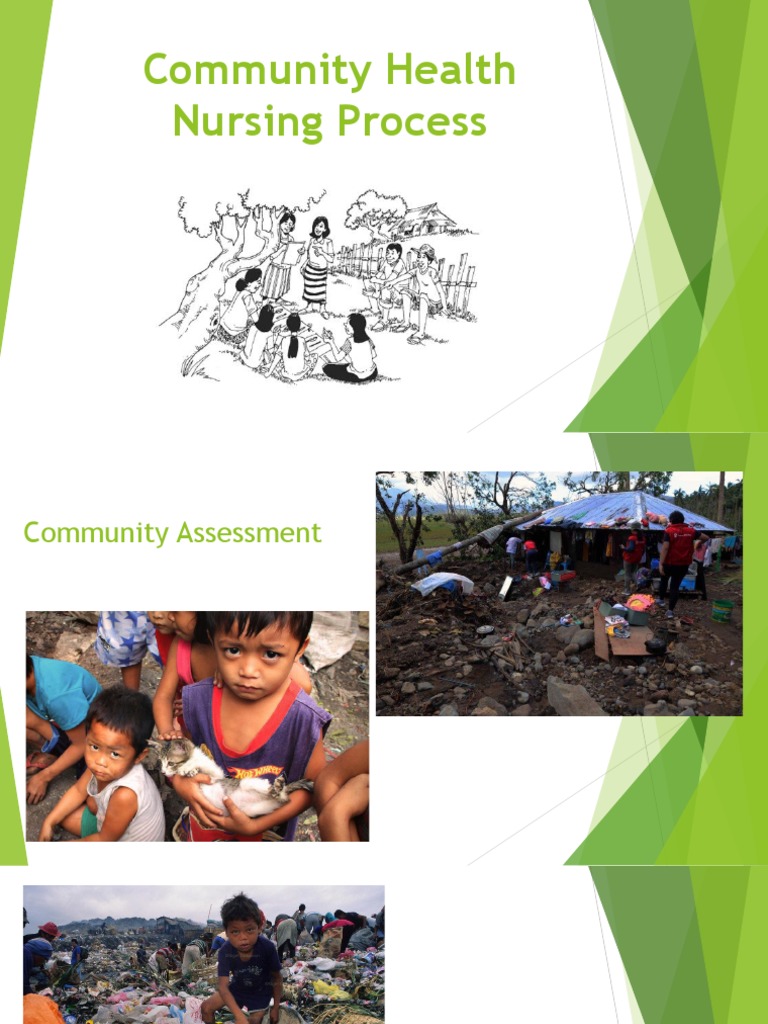 Community Health Assessment Process Guide | PDF | Mortality Rate ...