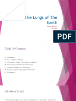Brazil - The Lungs of The Earth