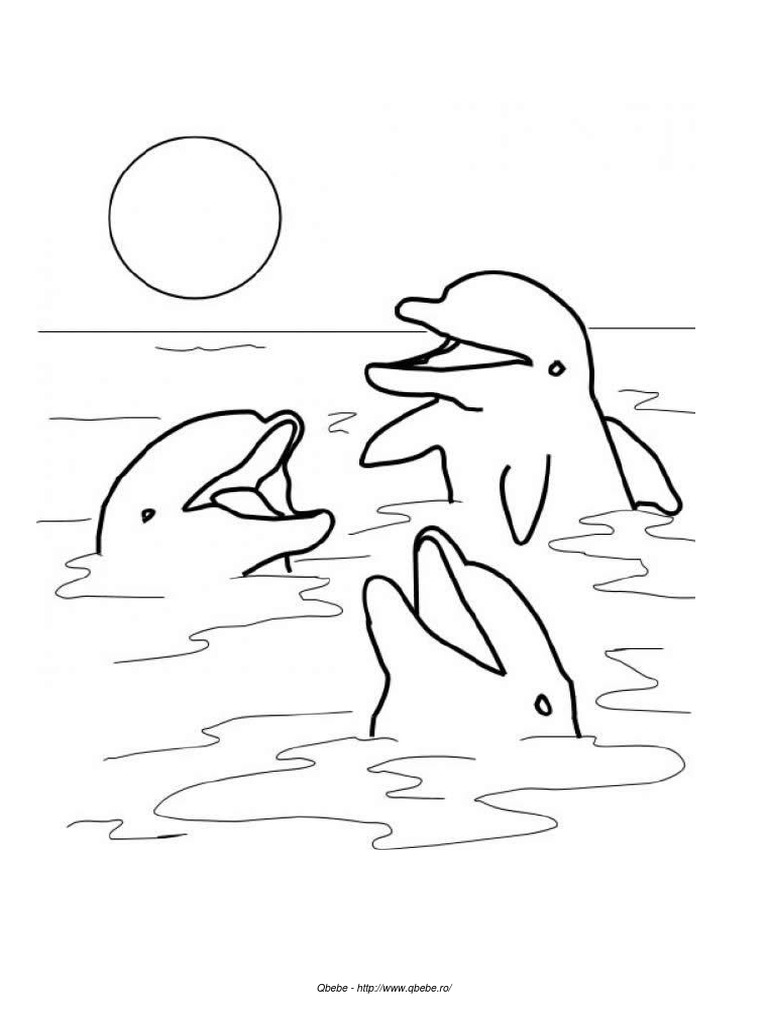 Delfini PDF