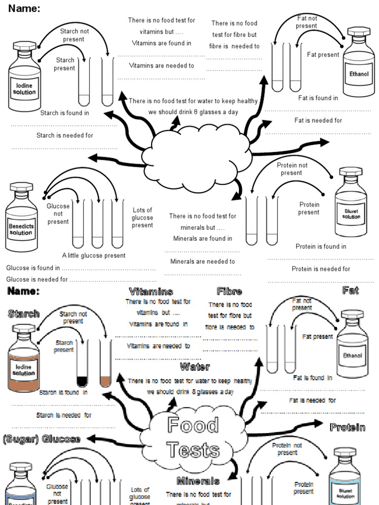 food-groups-and-food-tests-tes-pdf-foods-glucose