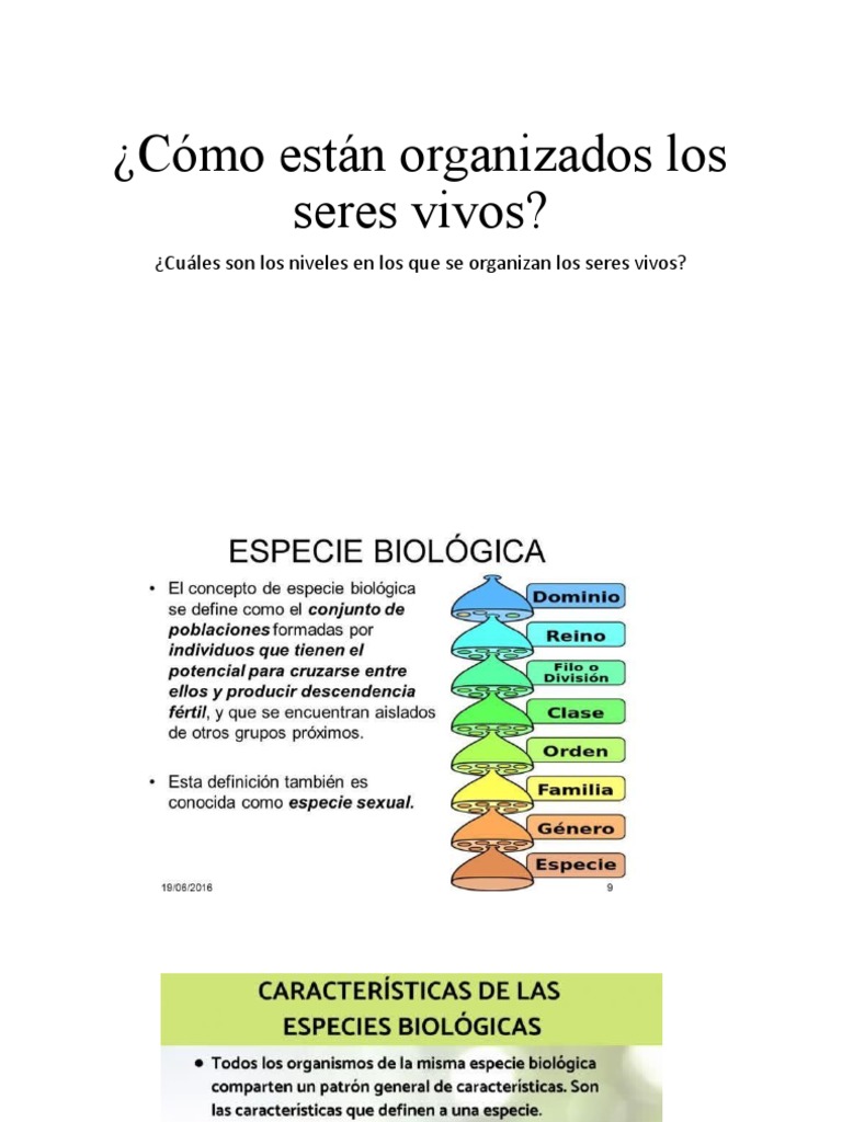 Organización de los Seres Vivos | PDF